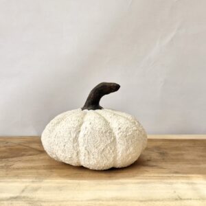 דלעת דקורטיבית בעבודת יד – בטקסטורת אבן מחוספס