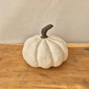 דלעת דקורטיבית בעבודת יד – בגוון לבן