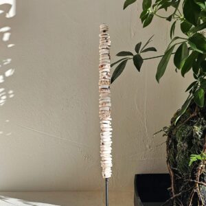 מעמד נוי מצדפות לבנות עגולות בגוון טבעי